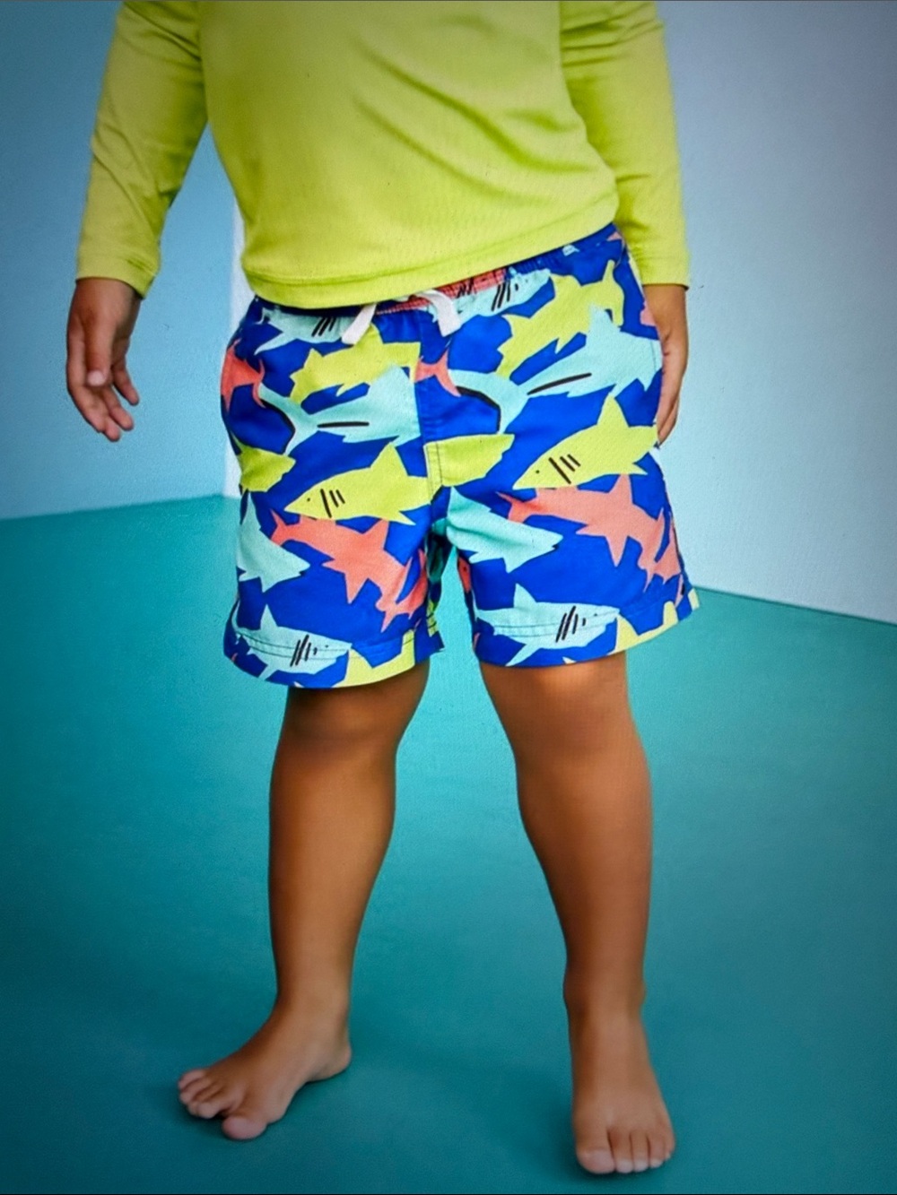 Hanna Andersson Rainbow Shark Swim Trunks, 10